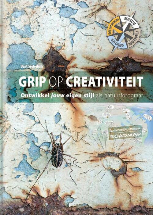 Grip op creativiteit -  Bart Siebelink (ISBN: 9789079588244)
