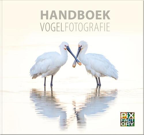 Handboek Vogelfotografie -  Arno ten Hoeve (ISBN: 9789079588374)