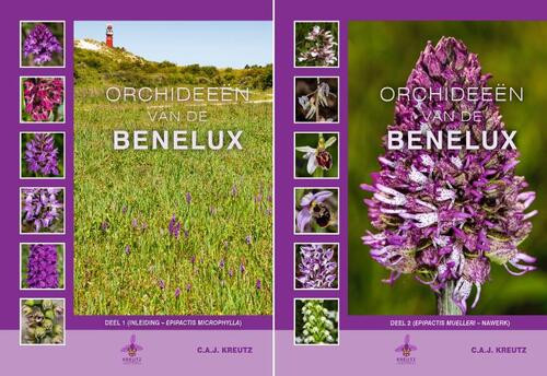Orchideeën van de Benelux -  C.A.J. Kreutz (ISBN: 9789080662681)