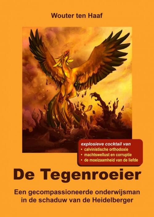 De Tegenroeier -  Wouter ten Haaf (ISBN: 9789402108002)