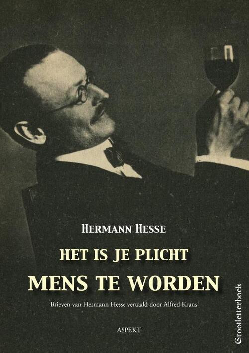 Het is je plicht mens te worden - grootletterboek -  Hesse Hermann (ISBN: 9789463387569)