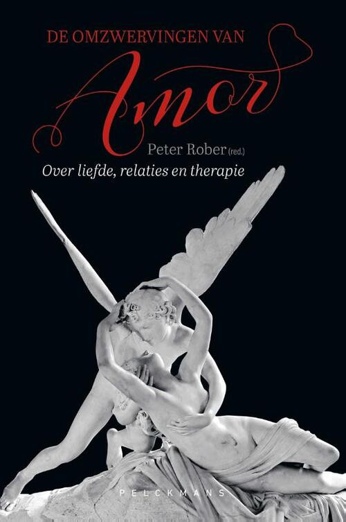 De omzwervingen van Amor -   (ISBN: 9789464017427)
