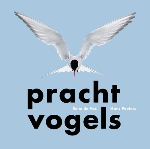 Prachtvogels -  Hans Peeters, René de Vos (ISBN: 9789464711752)