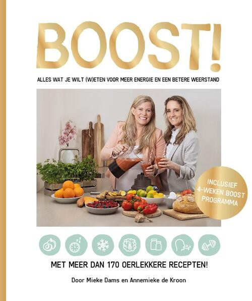 Boost! -  Annemieke de Kroon, Mieke Dams (ISBN: 9789491863691)