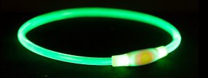 Trixie - USB Flash Lichtgevende Band Groen