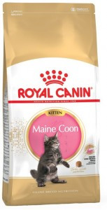 Royal Canin - Mainecoon Kitten