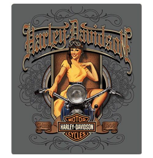 Harley-Davidson Old Scroll Babe Metalen Bord - 33 x 38cm