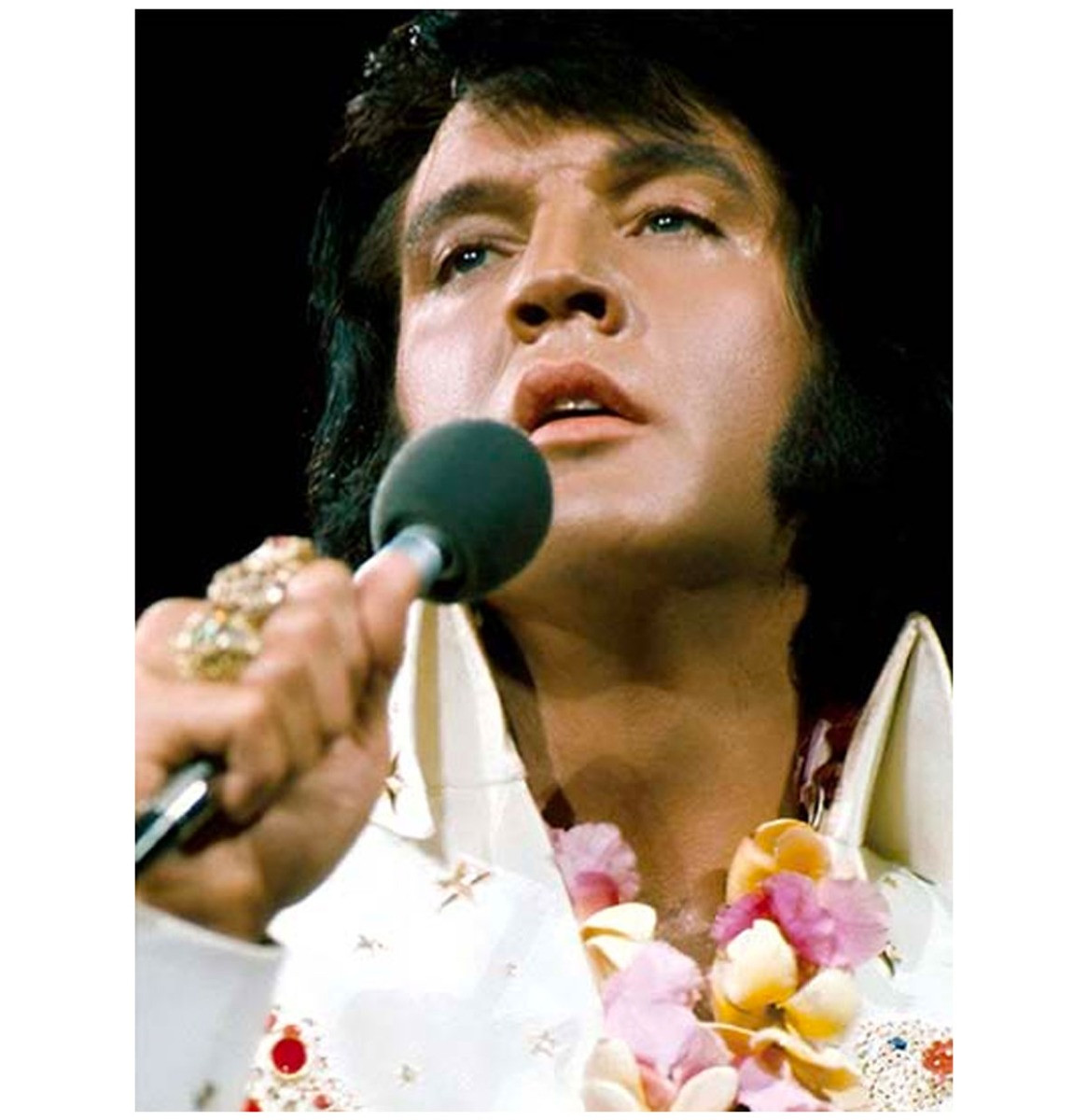 Elvis Presley - Hang Loose (Rehearsal Show) DVD