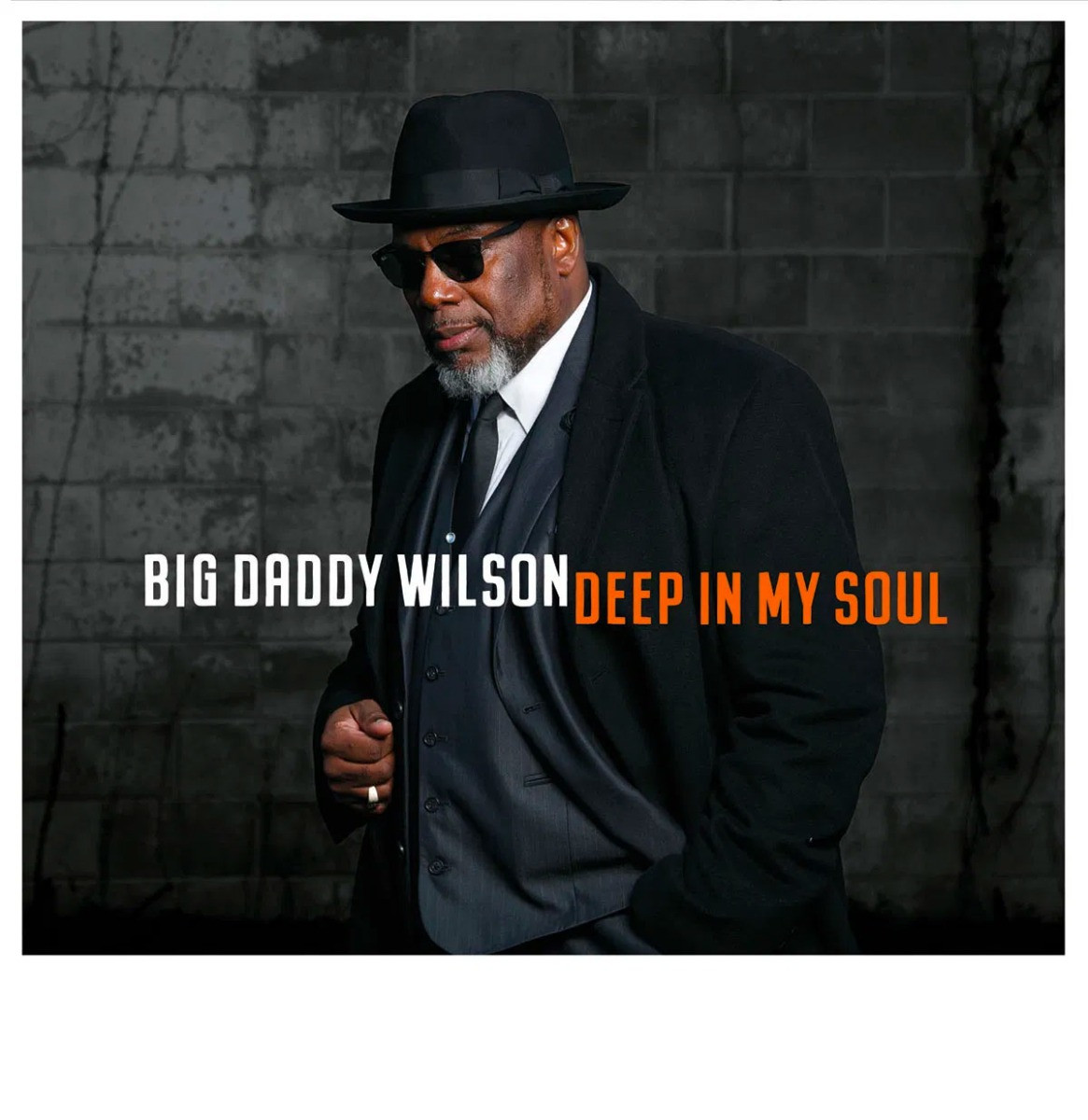 Big Daddy Wilson - Deep In My Soul LP