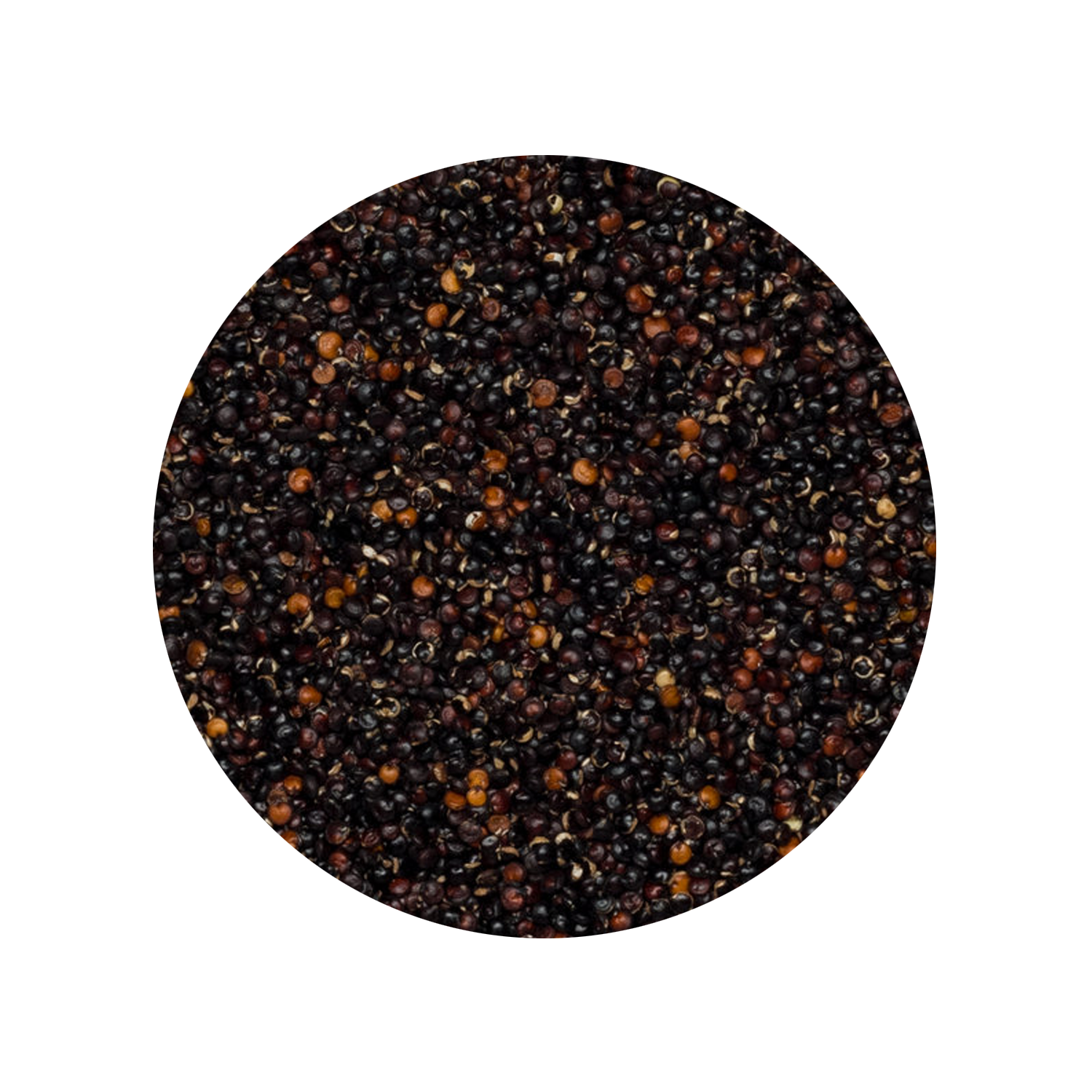 Quinoa Zwart Heel Biologisch 25 kg