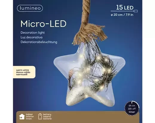 Lumineo Micro LED kerstster touw op batterij 20cm 40 lampjes