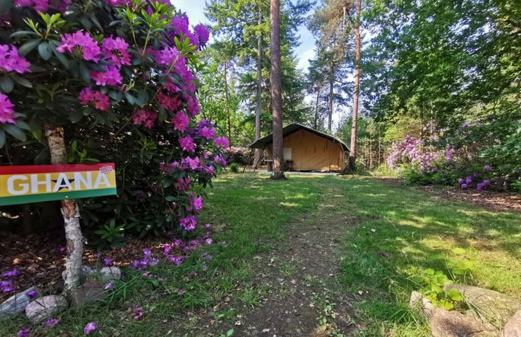 Natuurhuisje in Holten