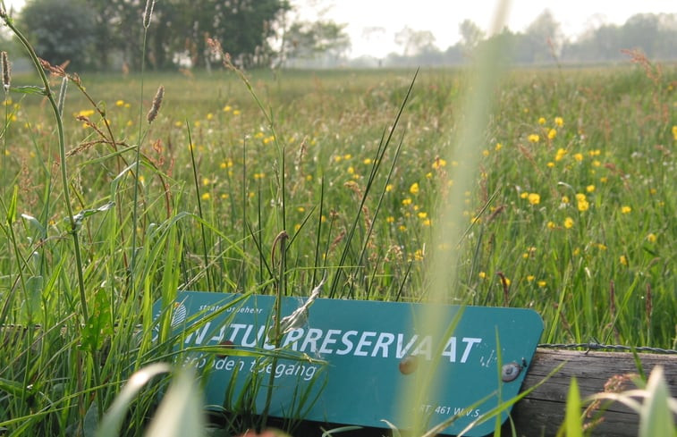 Natuurhuisje in Uffelte