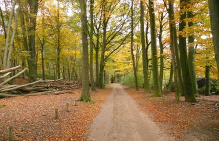 Natuurhuisje in Vasse