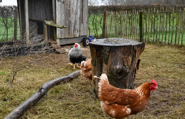 Natuurhuisje in Laren