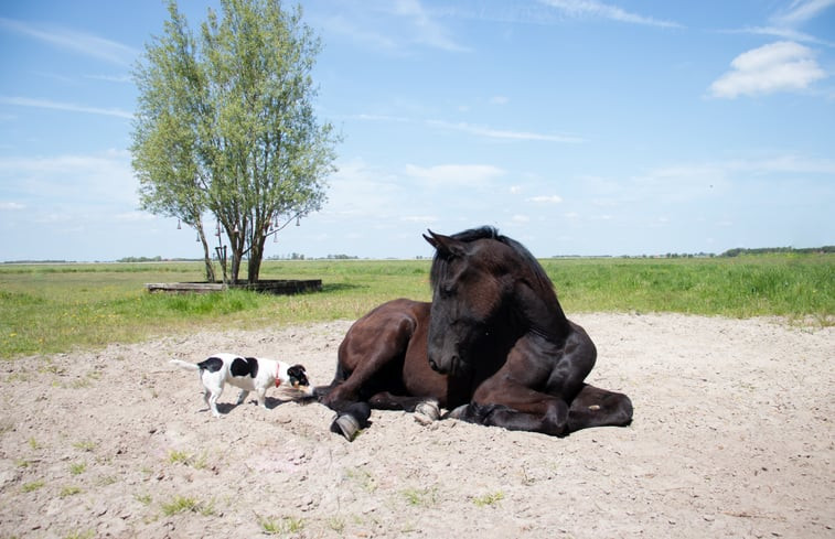 Natuurhuisje in Lemmer