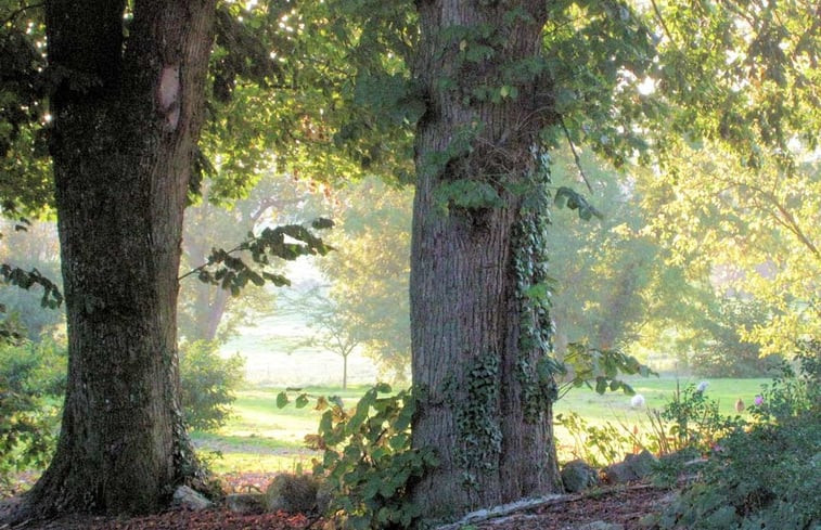 Natuurhuisje in Any-Martin-Rieux