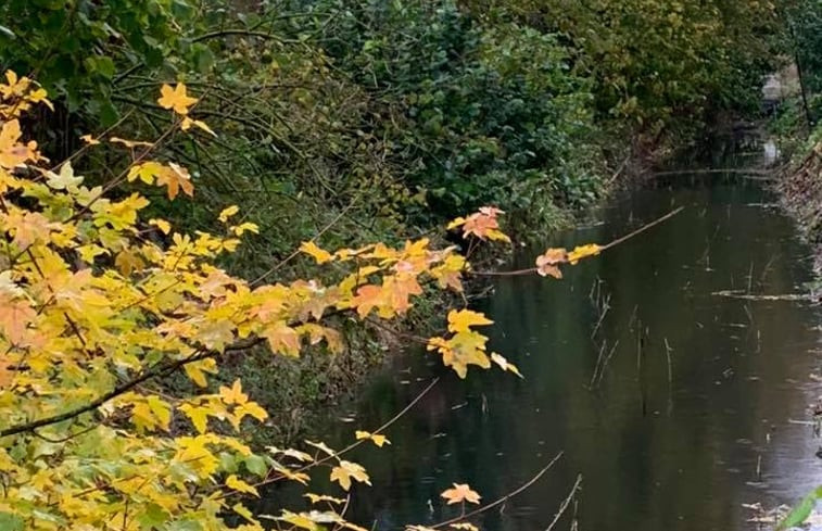 Natuurhuisje in Molenrij/Kloosterburen