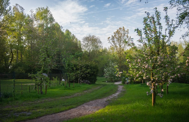 Natuurhuisje in Waskemeer