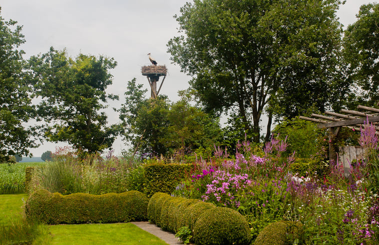 Natuurhuisje in Ruinerwold