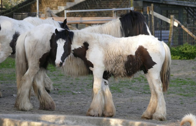 Natuurhuisje in Mesch-Eijsden