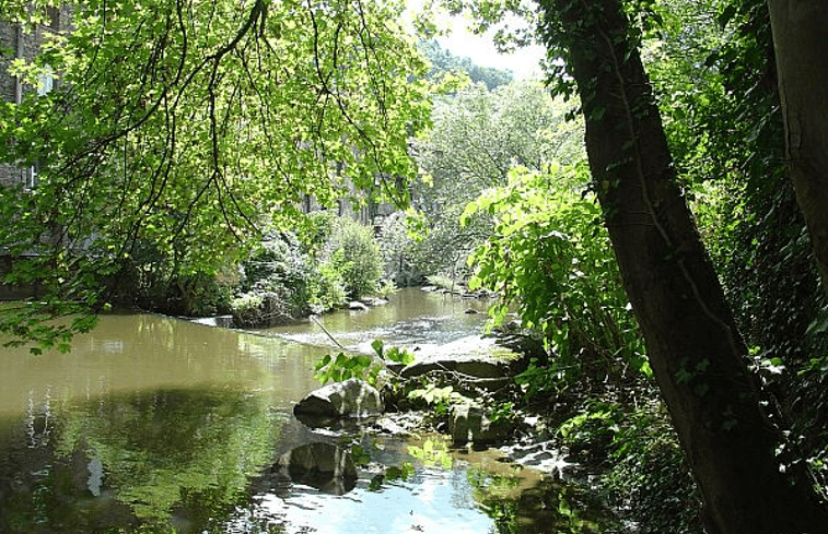 Natuurhuisje in La Chevalerie