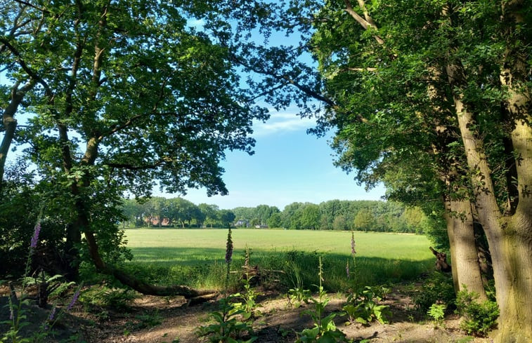 Natuurhuisje in Drijber