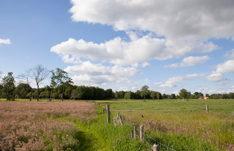 Natuurhuisje in Nietap