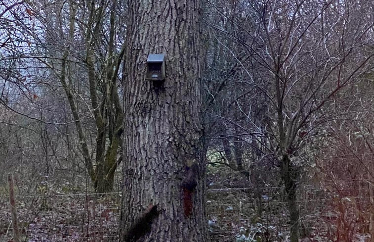 Natuurhuisje in Emst