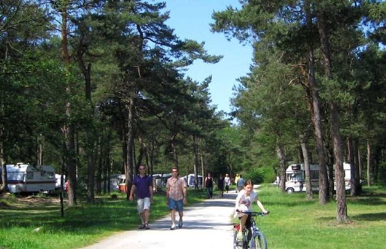 Natuurhuisje in Norg