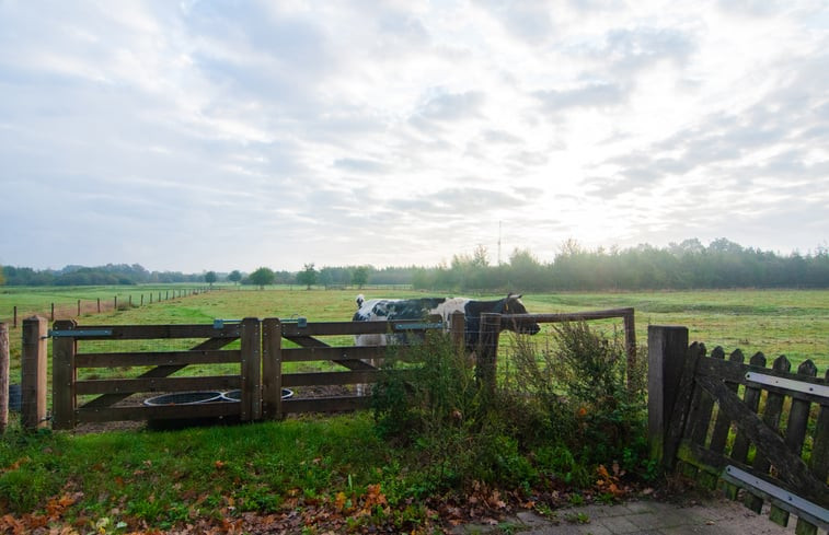 Natuurhuisje in Hapert