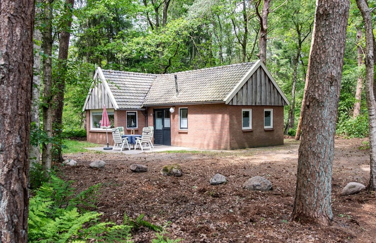 Natuurhuisje in de Lutte