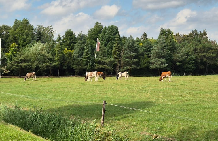 Natuurhuisje in Zwaanshoek