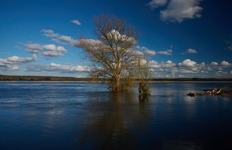 Natuurhuisje in Lunow Stolzenhagen