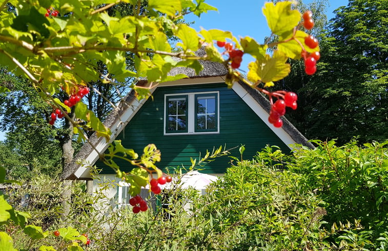 Natuurhuisje in Heeten