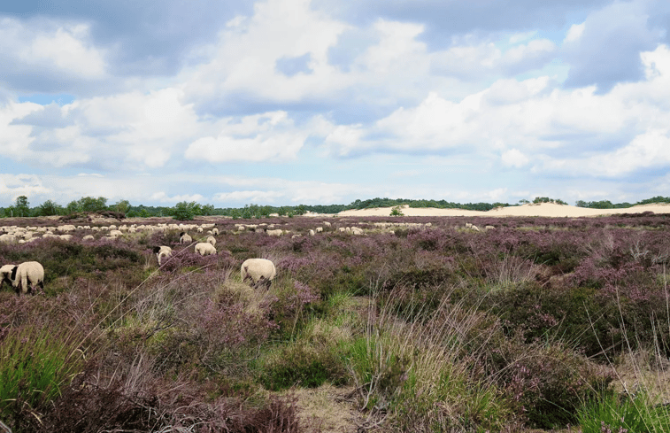 Natuurhuisje in Vught