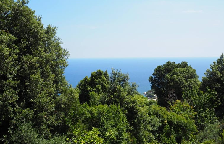 Natuurhuisje in Mouresi, Pelion