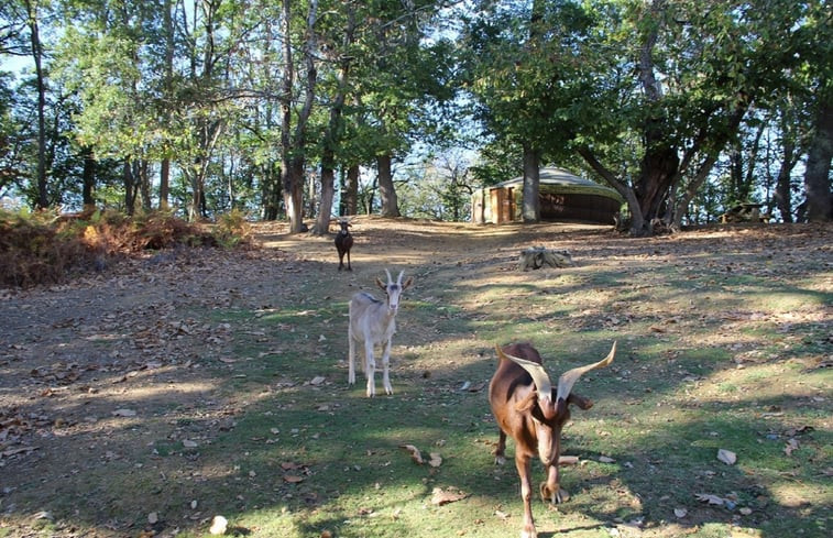 Natuurhuisje in Gensac de boulogne