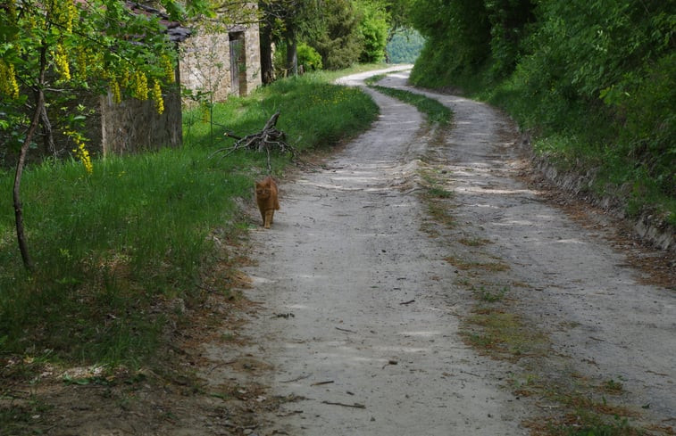 Natuurhuisje in Castel del Rio