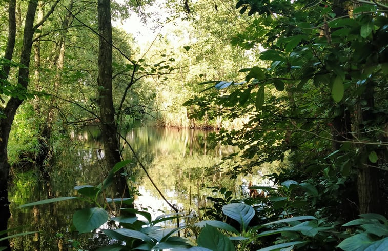 Natuurhuisje in Kollumerzwaag