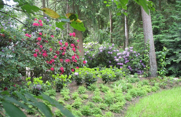 Natuurhuisje in Emst