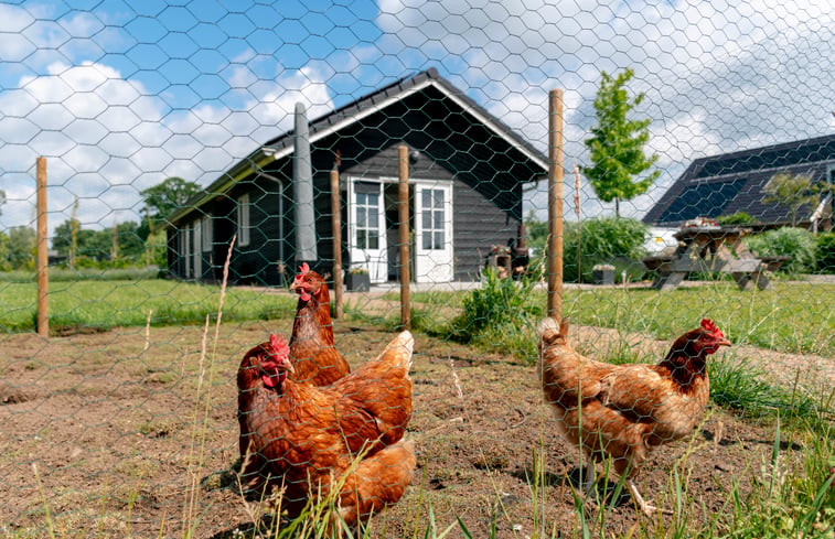 Natuurhuisje in Doetinchem