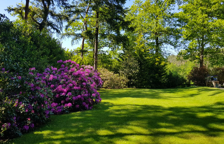 Natuurhuisje in Holten