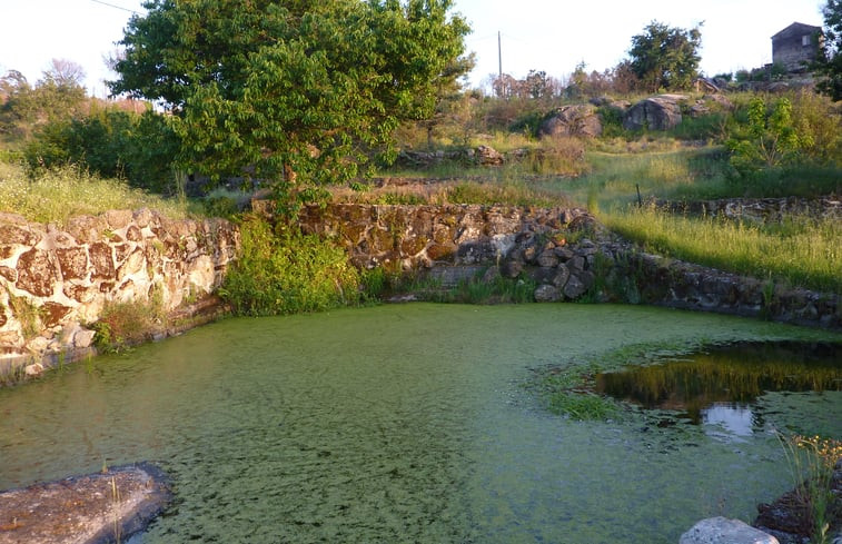 Natuurhuisje in Lagares da Breira