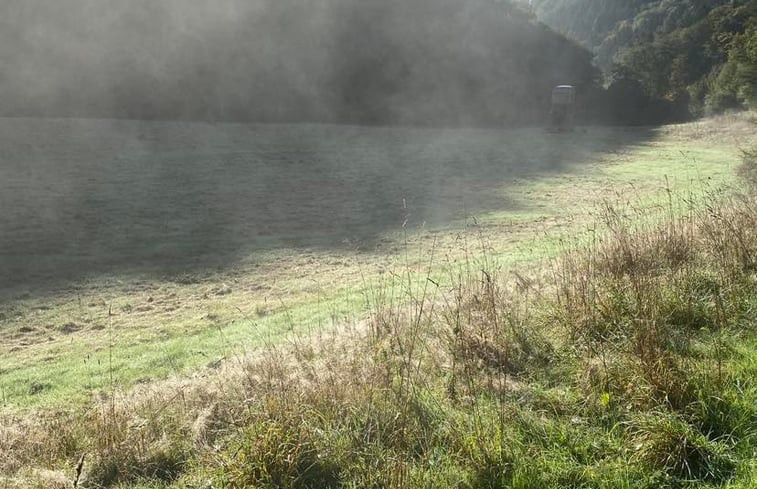 Natuurhuisje in La roche-en-ardenne