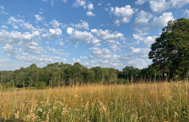 Natuurhuisje in Montclera