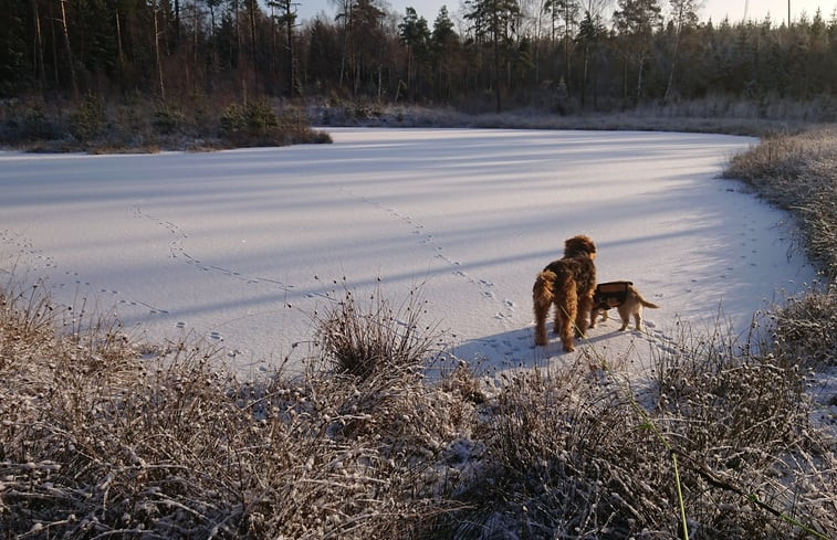 Natuurhuisje in Hå, Hamneda