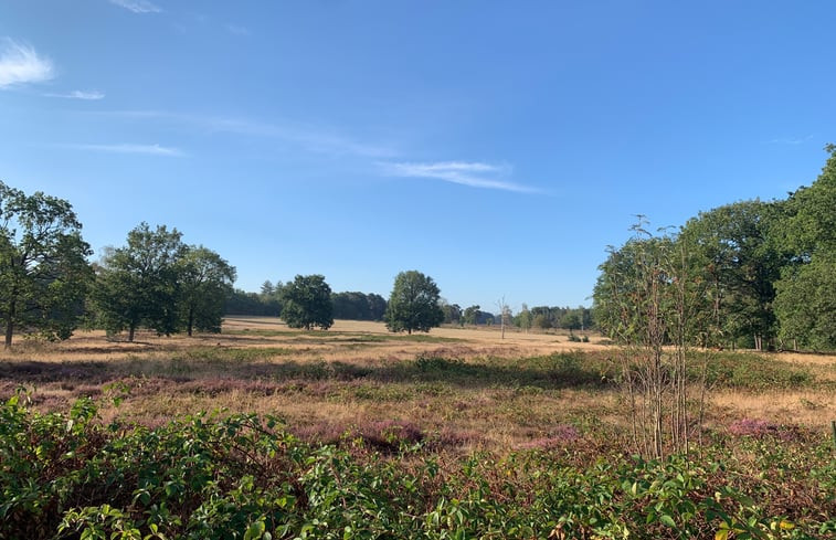 Natuurhuisje in Hattemerbroek