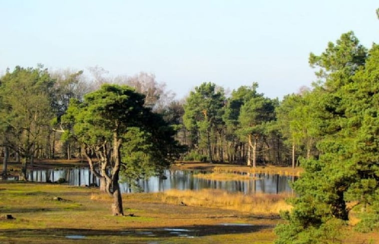 Natuurhuisje in Beckum