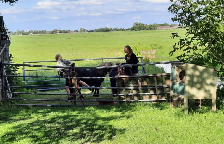 Natuurhuisje in Wommels